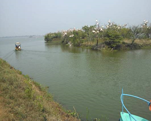 kolleru_lake